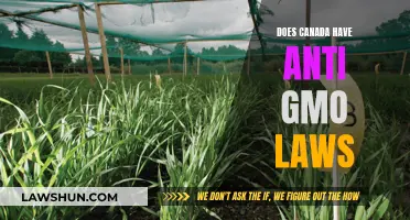 Canada's GMO Laws: What's the Deal?