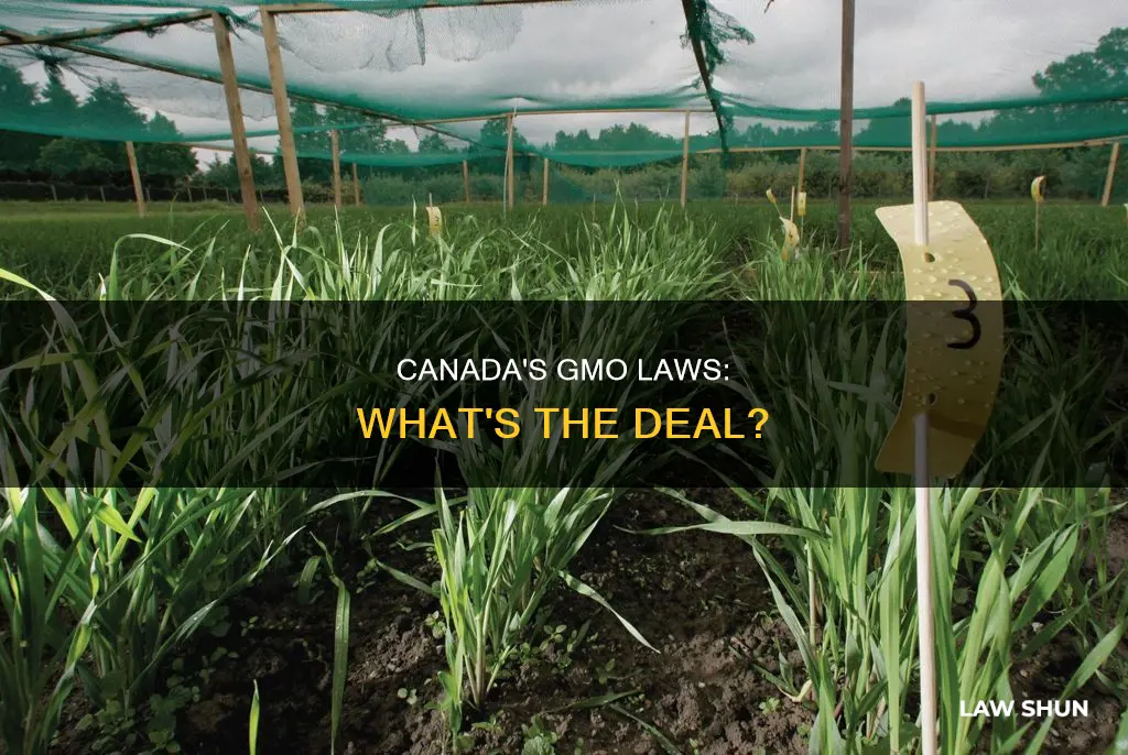 does canada have anti gmo laws