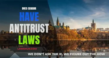 Canada's Antitrust Laws: What You Need to Know