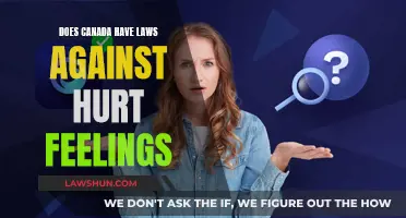 Canada's Laws: Can You Sue Over Hurt Feelings?