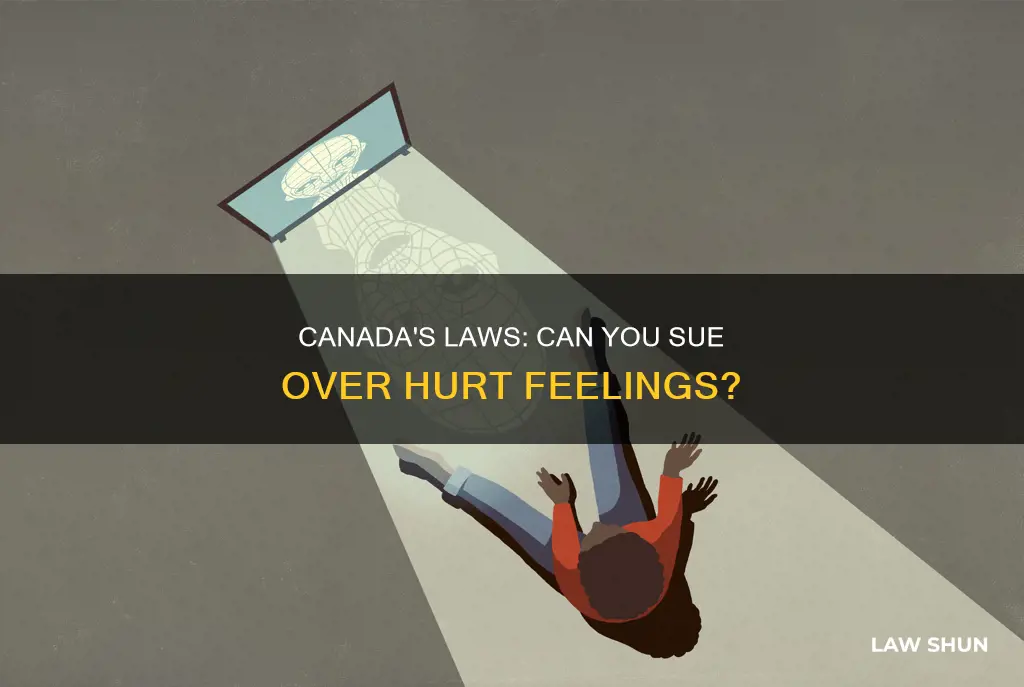 does canada have laws against hurt feelings