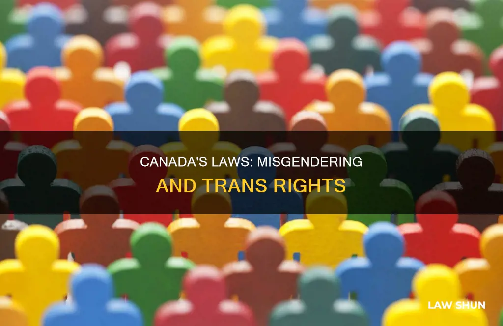 does canada have laws against misgendering