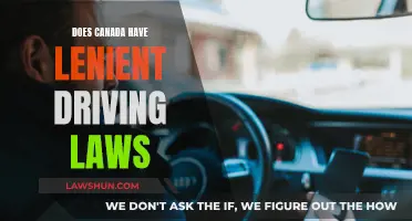Canada's Driving Laws: Strict or Lenient?