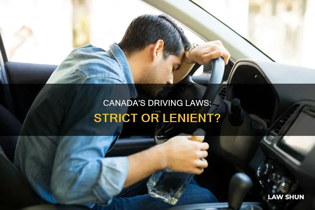 does canada have lenient driving laws