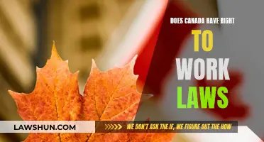 Canada's Work Laws: Understanding Your Employment Rights