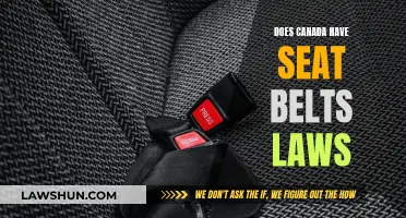 Canadian Seat Belt Laws: What You Need to Know
