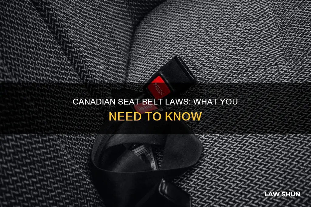 does canada have seat belts laws