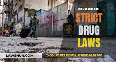 Canada's Drug Laws: Strict or Lenient?