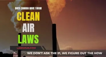 Canada's Air Quality: Strong Laws, Strong Results?