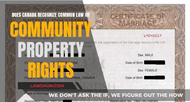 Common-Law and Community Property Rights in Canada: Recognized?