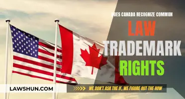 Common Law Trademark Rights: Canada's Recognition Explained