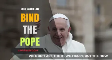 The Pope and Canon Law: Understanding the Binding Authority