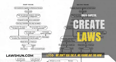 Who Creates Laws? The Capitol's Role Explained