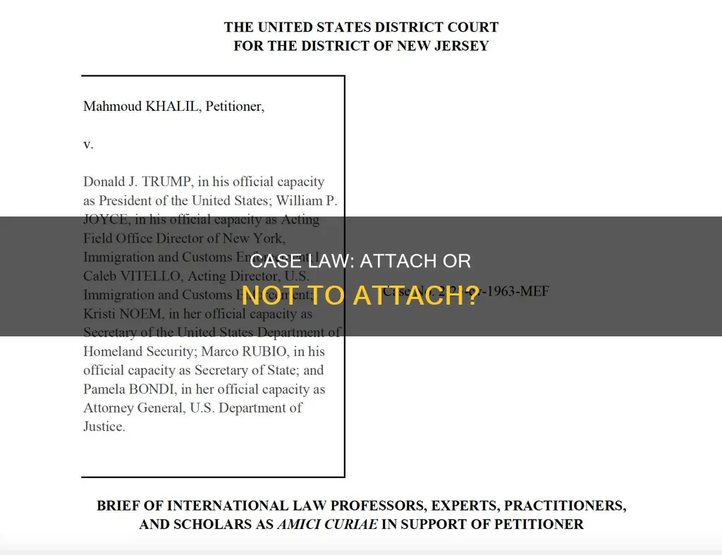 does case law case need be attached to appellate brief