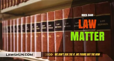 Case Law: Why Precedent Matters