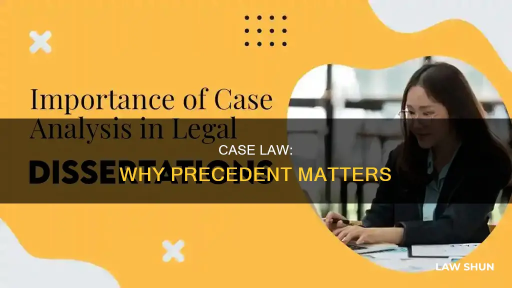 does case law matter