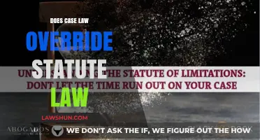 Case Law vs Statute Law: Who Wins?