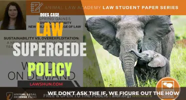 Case Law vs Policy: Who Wins?