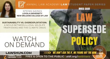 Case Law vs Policy: Who Wins?
