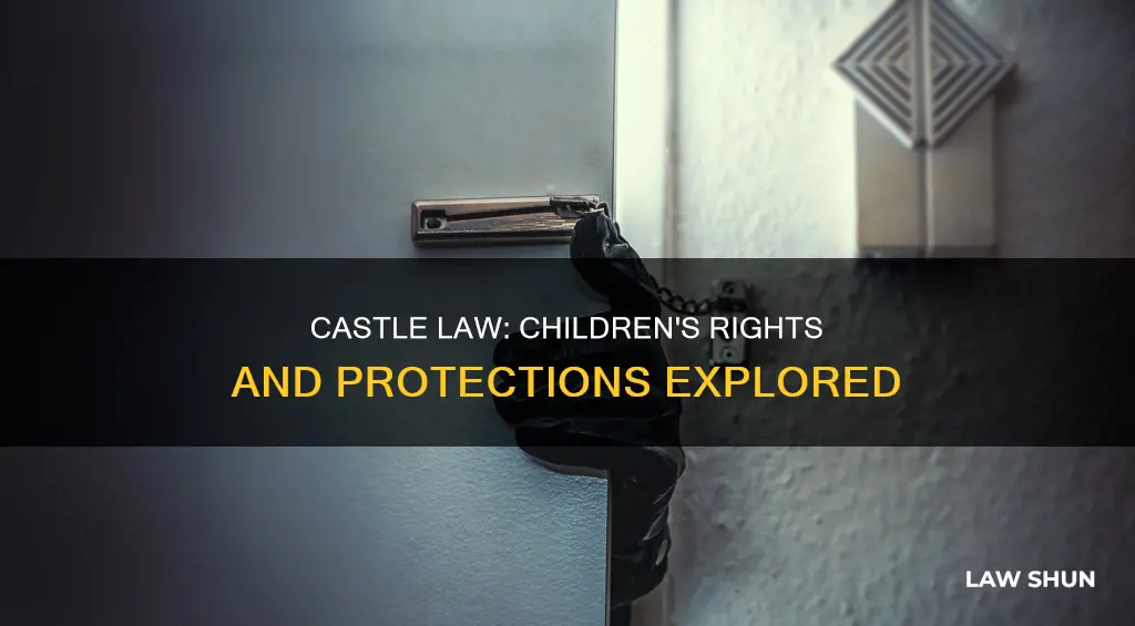 does castle law apply to children