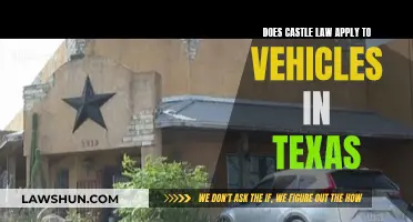 Texas Castle Law: Vehicle Inclusions and Exemptions