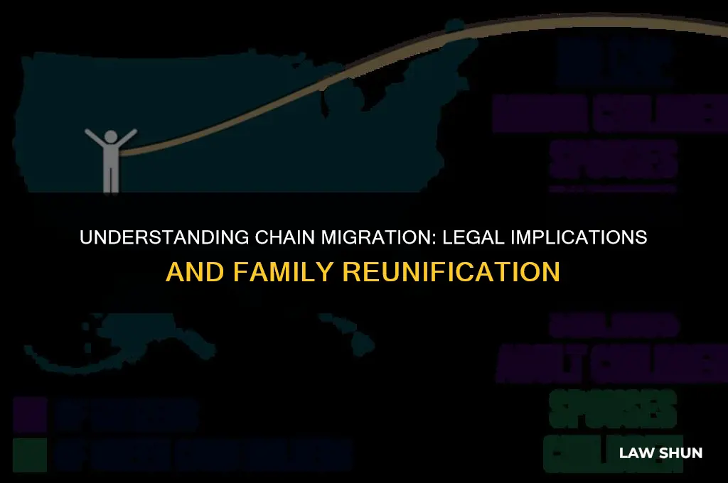 does chain migration include in laws
