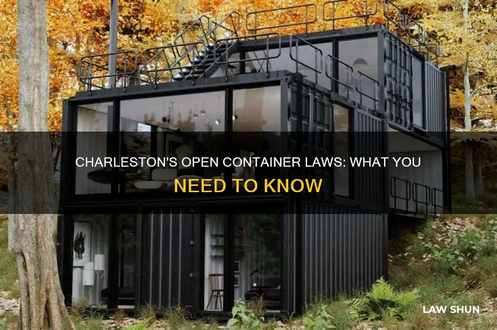 does charleston have open container laws