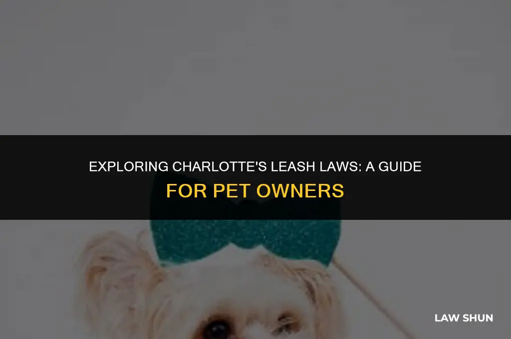 does charlotte have a leash law