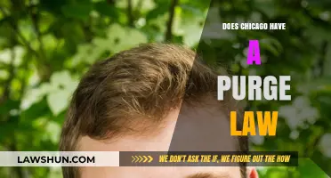 Understanding Chicago's Approach to Purge Laws: A Comprehensive Guide