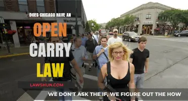 Chicago's Open Carry Law: What You Need to Know