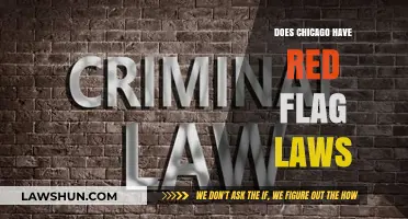 Understanding Chicago's Stance on Red Flag Laws: A Comprehensive Guide