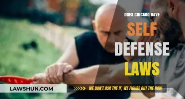 Understanding Self-Defense Laws in Chicago: A Comprehensive Guide