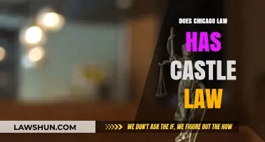 Understanding Illinois' Castle Doctrine: Self-Defense in Chicago