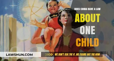 China's One-Child Policy: History, Impact, and Current Family Planning Laws
