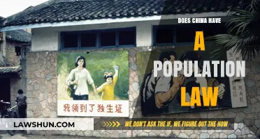 Exploring China's Population Policies: A Comprehensive Overview