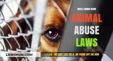 Exploring China's Legal Framework: Animal Abuse Laws and Protections