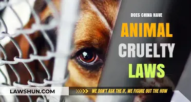 Exploring China's Legal Stance on Animal Welfare and Cruelty