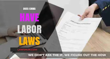 Understanding China's Labor Laws: Rights, Regulations, and Worker Protections