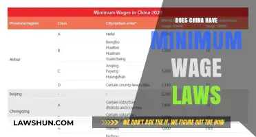 Exploring China's Minimum Wage Laws: Myths and Realities
