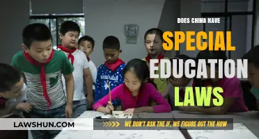 Exploring China's Legal Framework for Special Education: A Comprehensive Guide