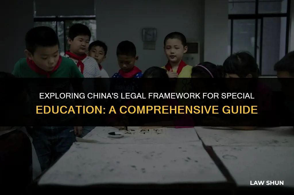 does china have special education laws