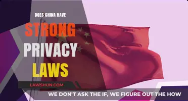 Exploring China's Privacy Laws: Strengths and Implications