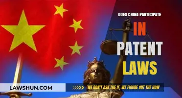 China's Engagement with Global Patent Laws: A Comprehensive Overview