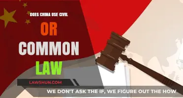 Civil or Common Law: China's Legal System