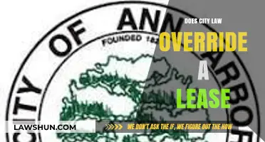 Navigating Urban Rental Agreements: Lease vs. City Ordinance