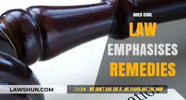 Civil Law's Focus: Remedies Over Punishment in Legal Disputes