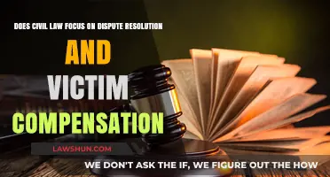 Civil Law: Dispute Resolution and Victim Compensation Explained