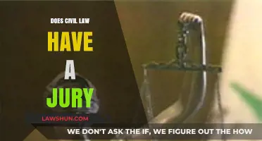 Does Civil Law Use Juries? Understanding Jury Roles in Civil Cases