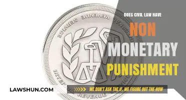 Exploring Non-Monetary Penalties in Civil Law: Alternatives to Financial Compensation