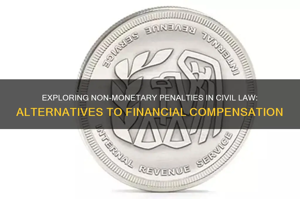 does civil law have non monetary punishment